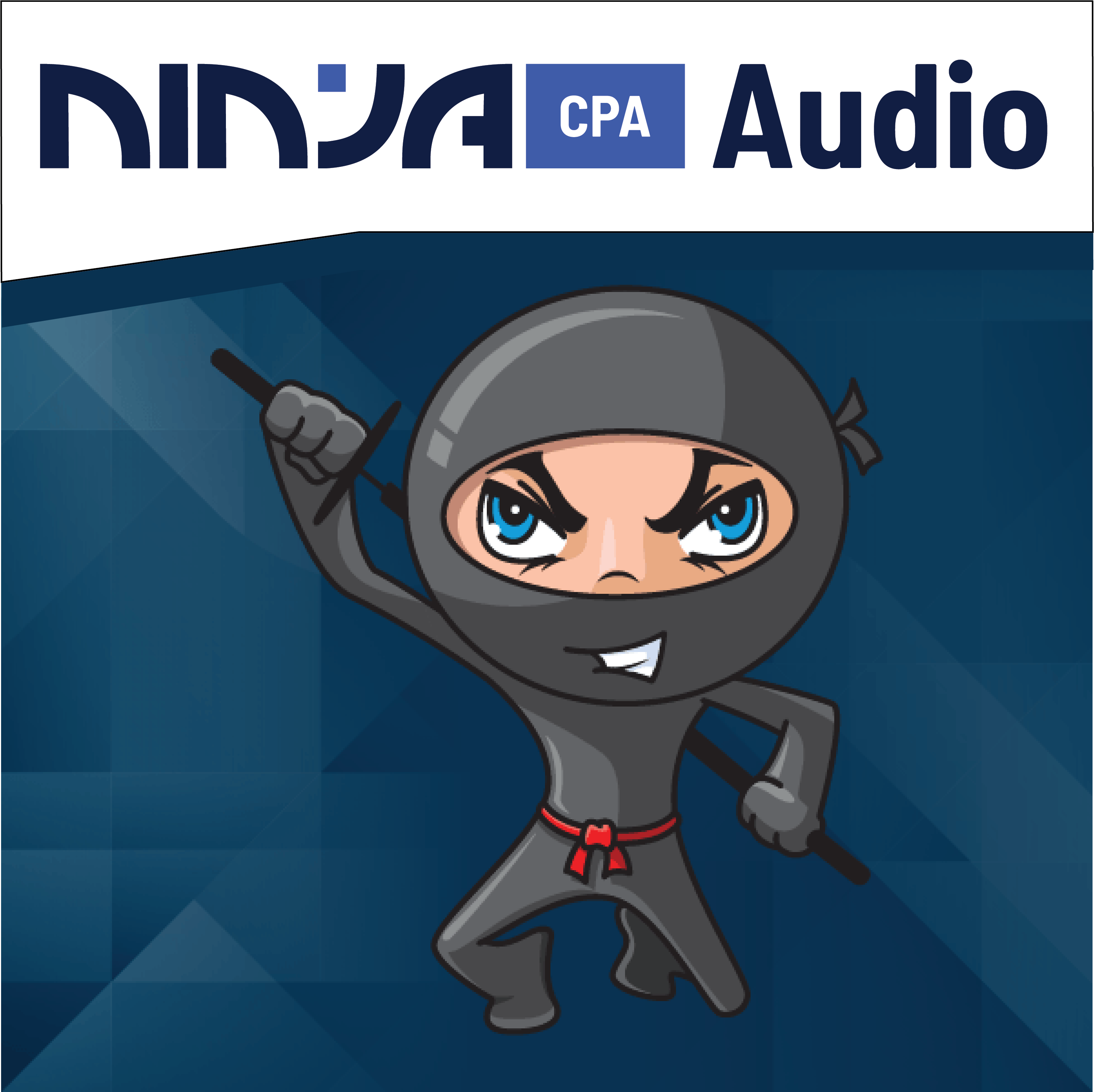 NINJA Audio | NINJA CPA Audio | NINJA CPA Review 2024